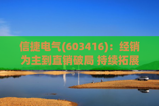 信捷电气(603416)：经销为主到直销破局 持续拓展第二成长曲线