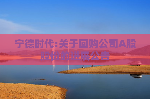 宁德时代:关于回购公司A股股份的进展公告