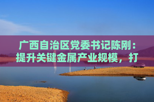 广西自治区党委书记陈刚：提升关键金属产业规模，打造国家级产业集群