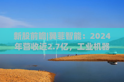 新股前瞻|翼菲智能：2024年营收近2.7亿，工业机器人热潮下成长力可期？