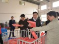 如何理解大通货的含义？它在期货交易中有什么关联？