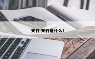 支竹 支竹是什么！