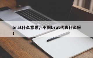 brat什么意思，小圈brat代表什么呀！