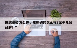 东鹏瓷砖怎么样，东鹏瓷砖怎么样?属于几线品牌！？