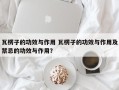 瓦楞子的功效与作用 瓦楞子的功效与作用及禁忌的功效与作用？