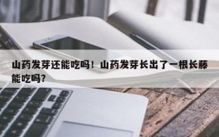 山药发芽还能吃吗！山药发芽长出了一根长藤能吃吗？