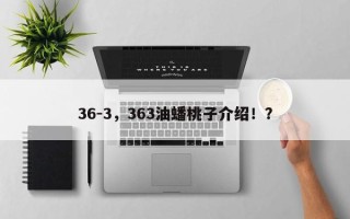 36-3，363油蟠桃子介绍！？