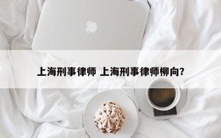 上海刑事律师 上海刑事律师柳向？