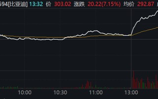 比亚迪午后大涨超7%，股价重回300元