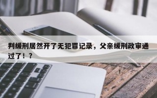 判缓刑居然开了无犯罪记录，父亲缓刑政审通过了！？