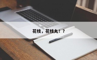 花枝，花枝丸！？