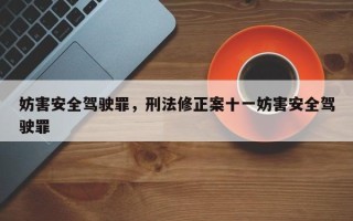 妨害安全驾驶罪，刑法修正案十一妨害安全驾驶罪