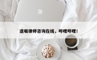 遗嘱律师咨询在线，哔哩哔哩！