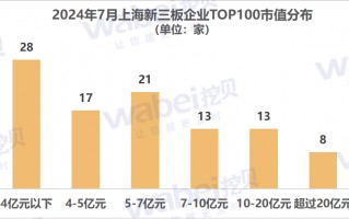 2024年7月上海新三板企业市值TOP100：22家企业冲击北交所