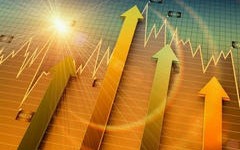 网上炒什么：网上可进行的投资品种有哪些？这些投资品种的风险如何评估？