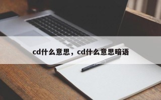 cd什么意思，cd什么意思暗语