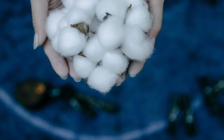 如何正确看待现货行情？这对期货交易有何影响？