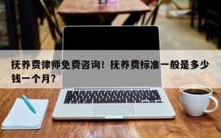 抚养费律师免费咨询！抚养费标准一般是多少钱一个月？