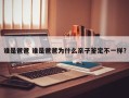 谁是爸爸 谁是爸爸为什么亲子鉴定不一样？