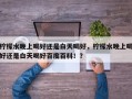 柠檬水晚上喝好还是白天喝好，柠檬水晚上喝好还是白天喝好百度百科！？