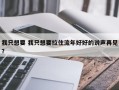 我只想要 我只想要拉住流年好好的说声再见？