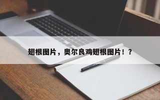 翅根图片，奥尔良鸡翅根图片！？