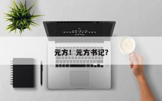 元方！元方书记？