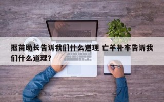 揠苗助长告诉我们什么道理 亡羊补牢告诉我们什么道理？