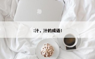 :汁，汁的成语！