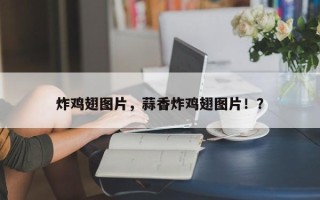 炸鸡翅图片，蒜香炸鸡翅图片！？