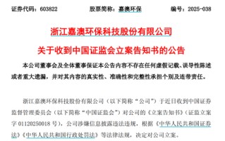 涉嫌信息披露违法违规，嘉澳环保被证监会立案