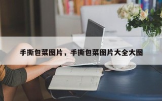 手撕包菜图片，手撕包菜图片大全大图