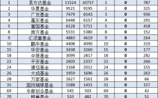 红塔红土基金2024二季度非货排名骤降20名，公司总经理为杨洁