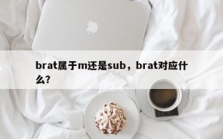 brat属于m还是sub，brat对应什么？