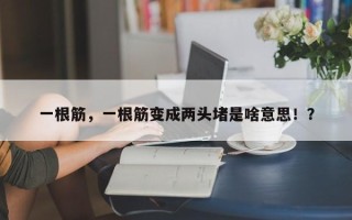 一根筋，一根筋变成两头堵是啥意思！？