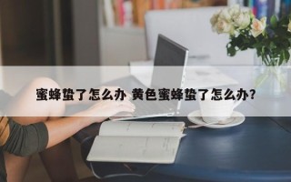 蜜蜂蛰了怎么办 黄色蜜蜂蛰了怎么办？