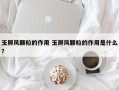 玉屏风颗粒的作用 玉屏风颗粒的作用是什么？