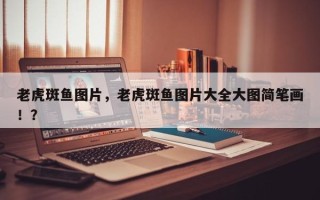老虎斑鱼图片，老虎斑鱼图片大全大图简笔画！？