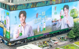 爱喝椰子水的中国人，“养肥”一个泰国富二代