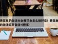 黄花鱼的做法大全黄花鱼怎么做好吃！黄花鱼的做法家常做法+视频？