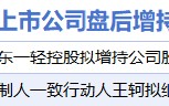 6月19日增减持汇总：大豪科技等2股增持 盛弘股份等7股减持（表）