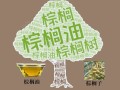 棕榈油冲击4550！印度需求与MACD金叉引爆上涨动能？