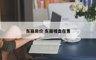 东丽房价 东丽楼盘在售