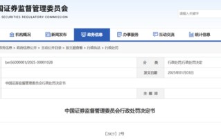 重罚！众华所及4名签字会计师被罚没超2100万！