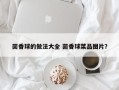 茴香球的做法大全 茴香球菜品图片？