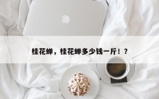 桂花蝉，桂花蝉多少钱一斤！？