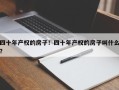 四十年产权的房子！四十年产权的房子叫什么？