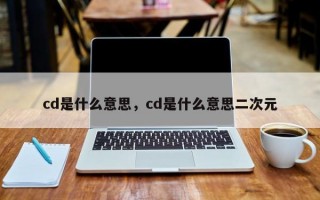 cd是什么意思，cd是什么意思二次元