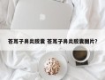 苍耳子鼻炎胶囊 苍耳子鼻炎胶囊图片？