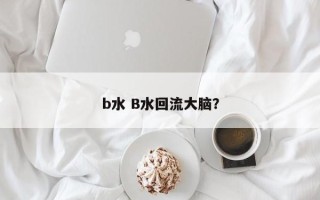 b水 B水回流大脑？